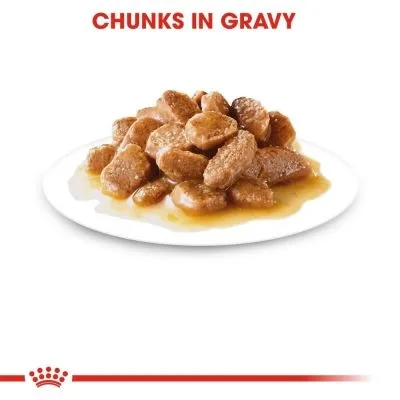 Royal Canin Mini Adult Wet Food 85g