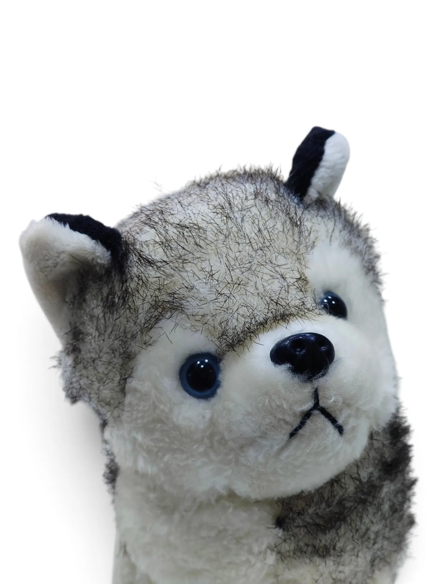 Plush Husky Puppy Toy