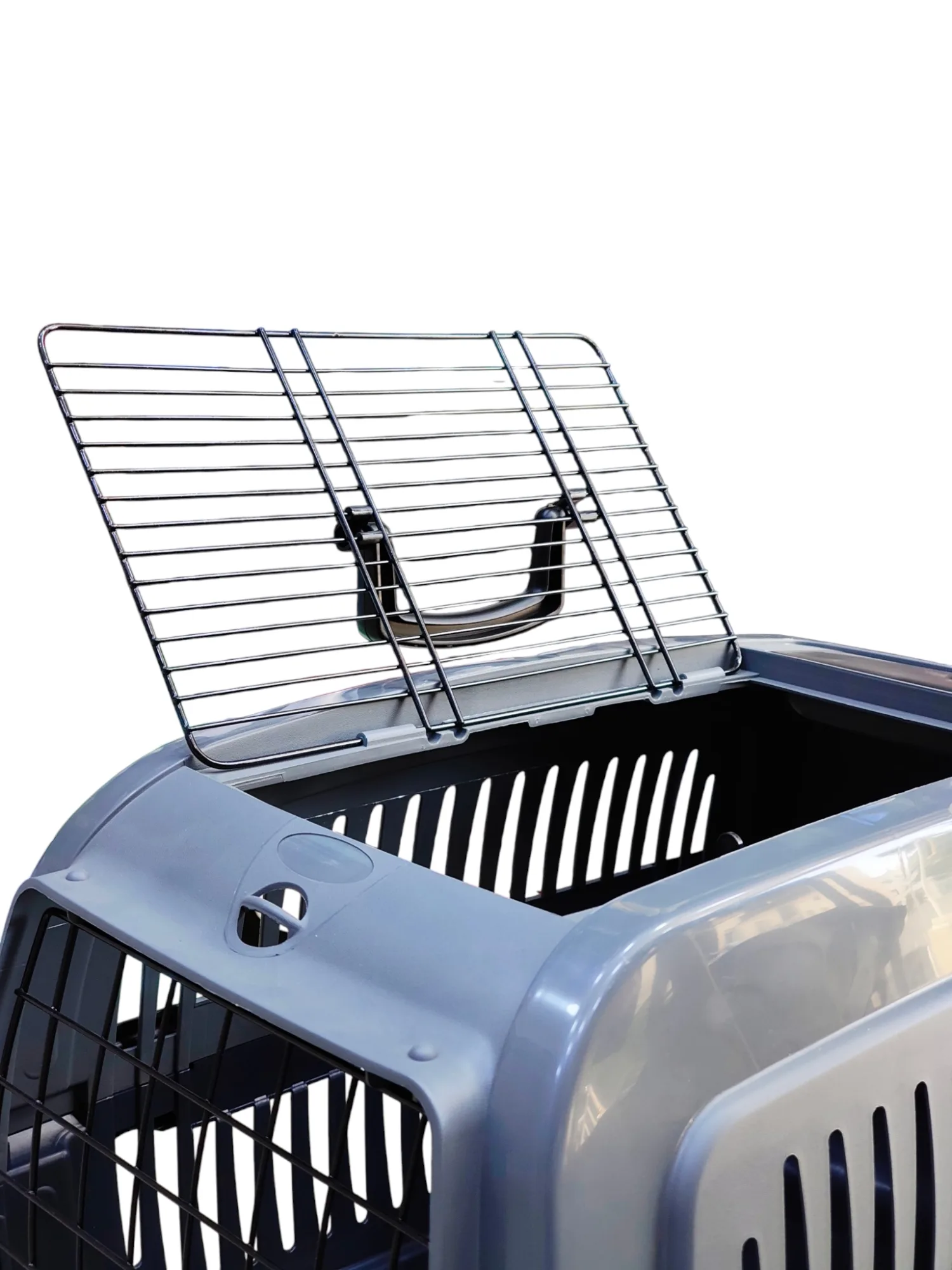 Dual-Door Pet Carrier - Large