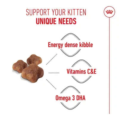 Royal Canin Mother & Babycat - cat dry food  400g