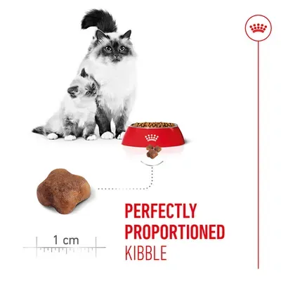Royal Canin Mother & Babycat - cat dry food  400g