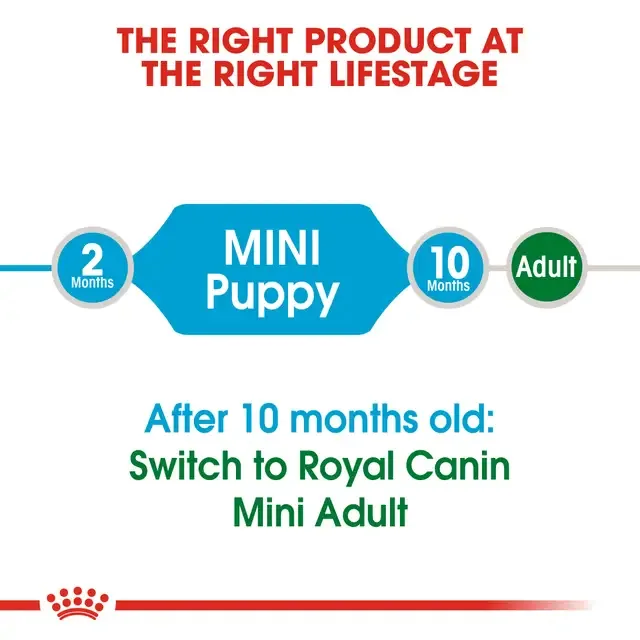 Royal canin - Mini Puppy 800g