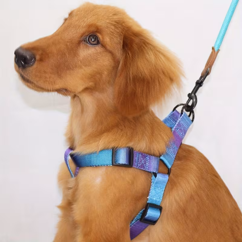 Harness and Rope Leash Set