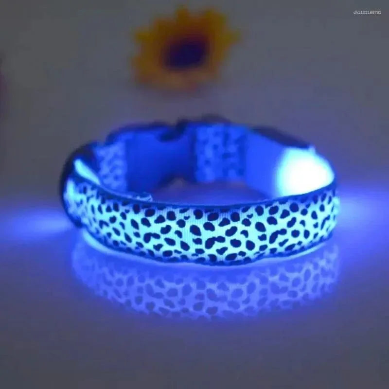 LED Collar - S