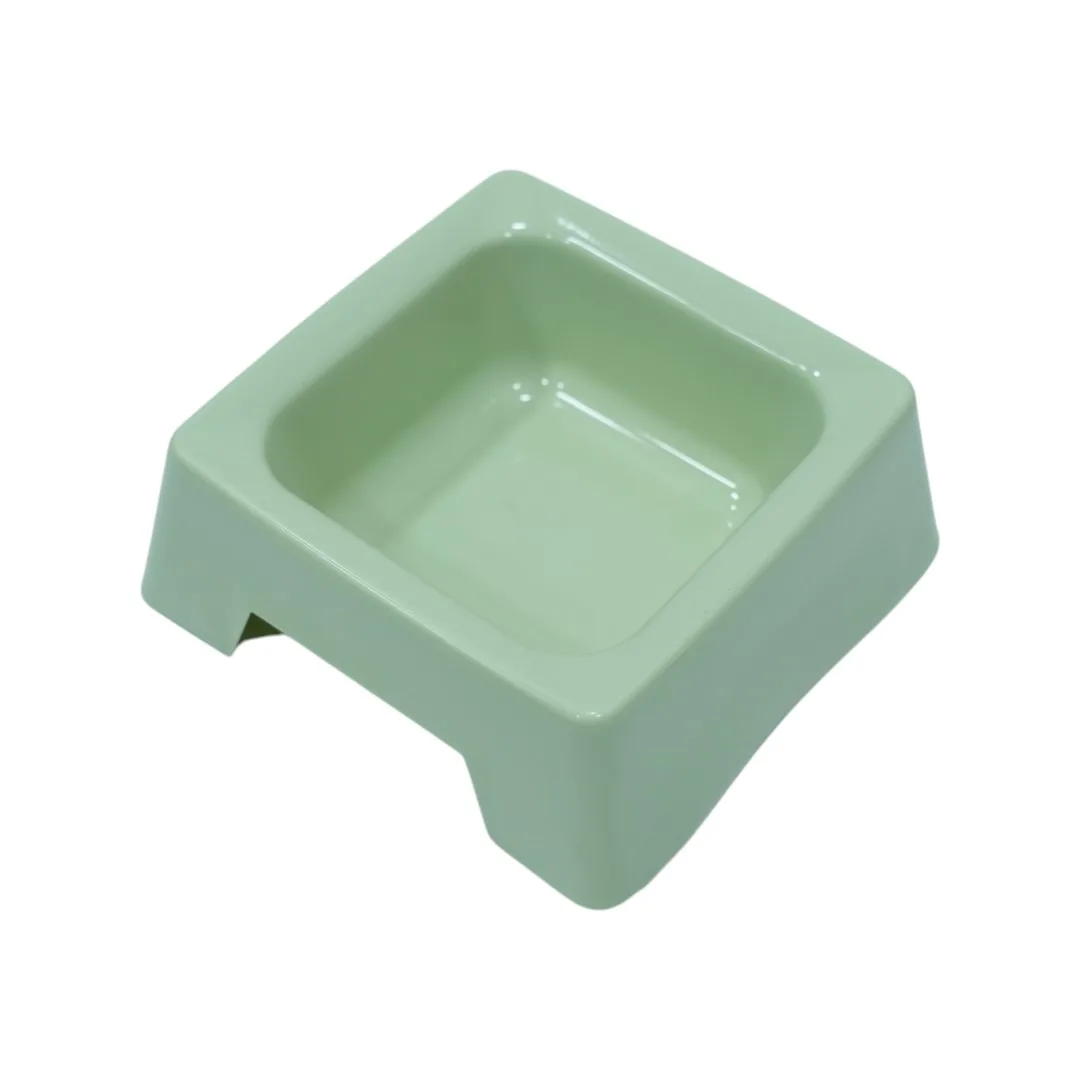 Elevated Dog Bowl in Light Green