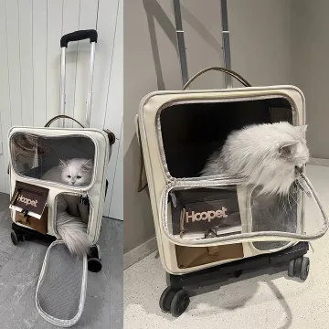 Pet Trolley & Backpack