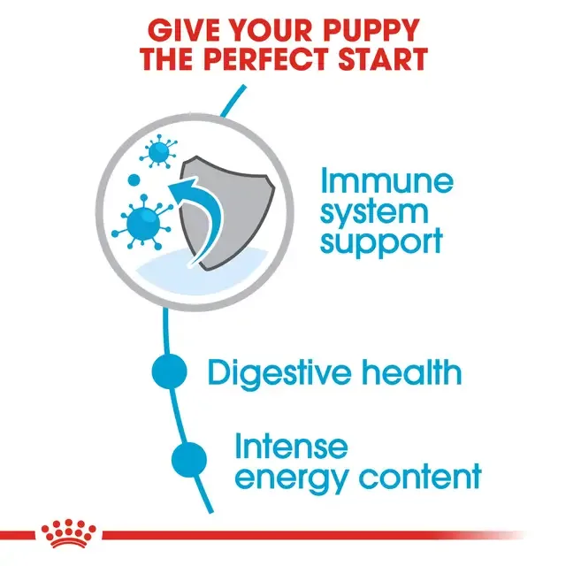 Royal canin - Mini Puppy 800g