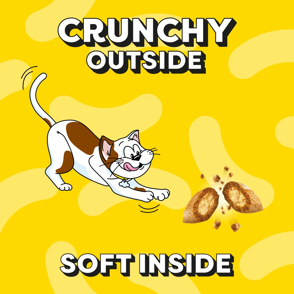 DREAMIES with Delicious Cheese - 60g