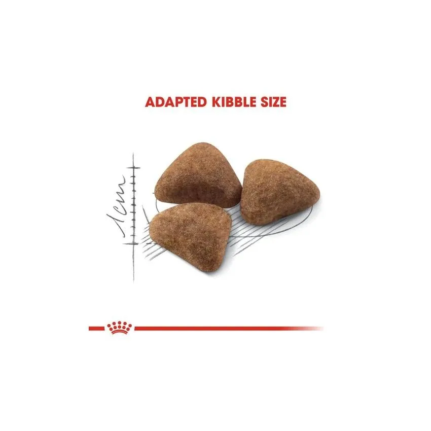 Royal canin - cat INDOOR27 (400g - 2KG)