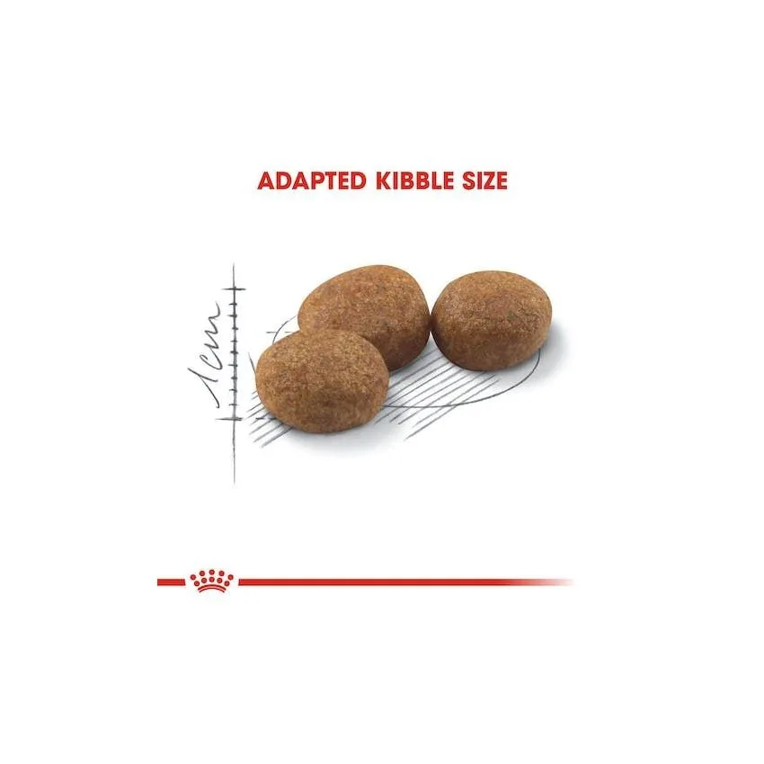 Royal canin - cat STERILISED37 (400g - 2KG)