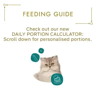 Mousse with Chicken Wet Cat Food