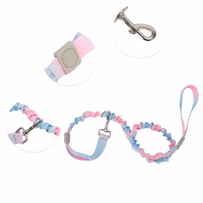 Bungee Leash