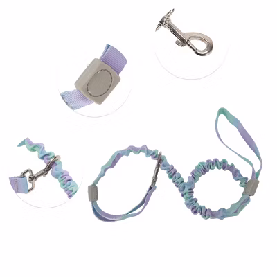 Bungee Leash