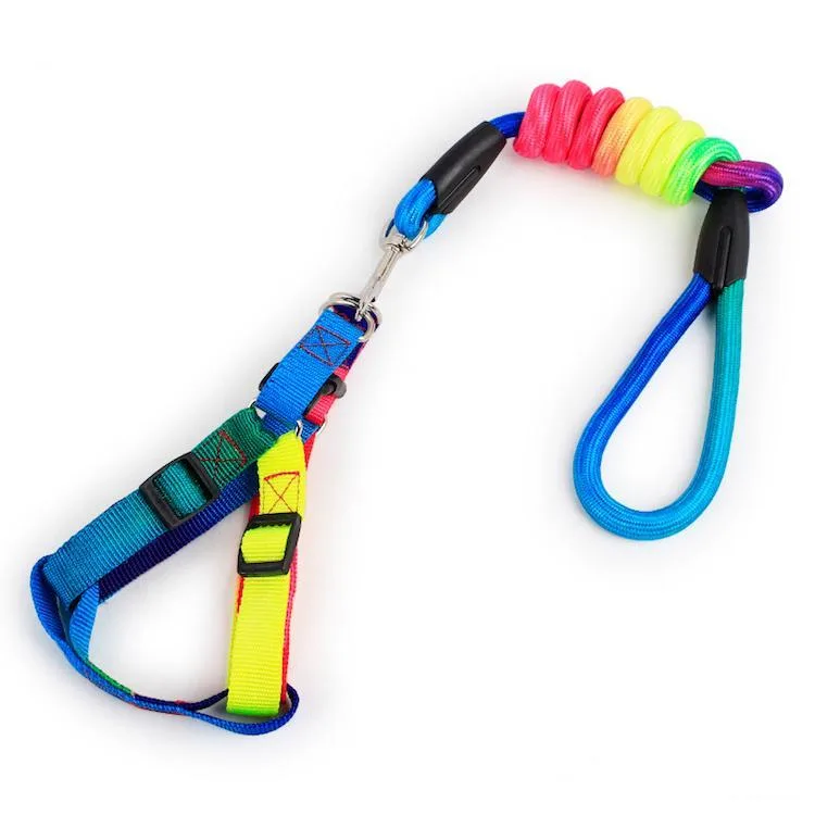 Rainbow leash