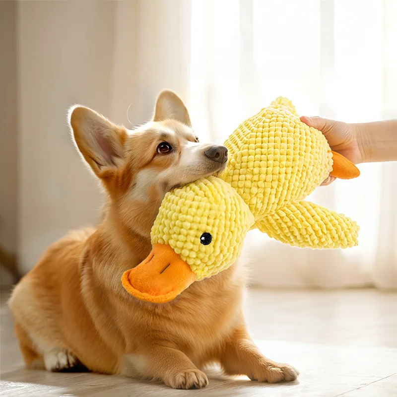 Plush Duck Squeaky Dog Toy - M