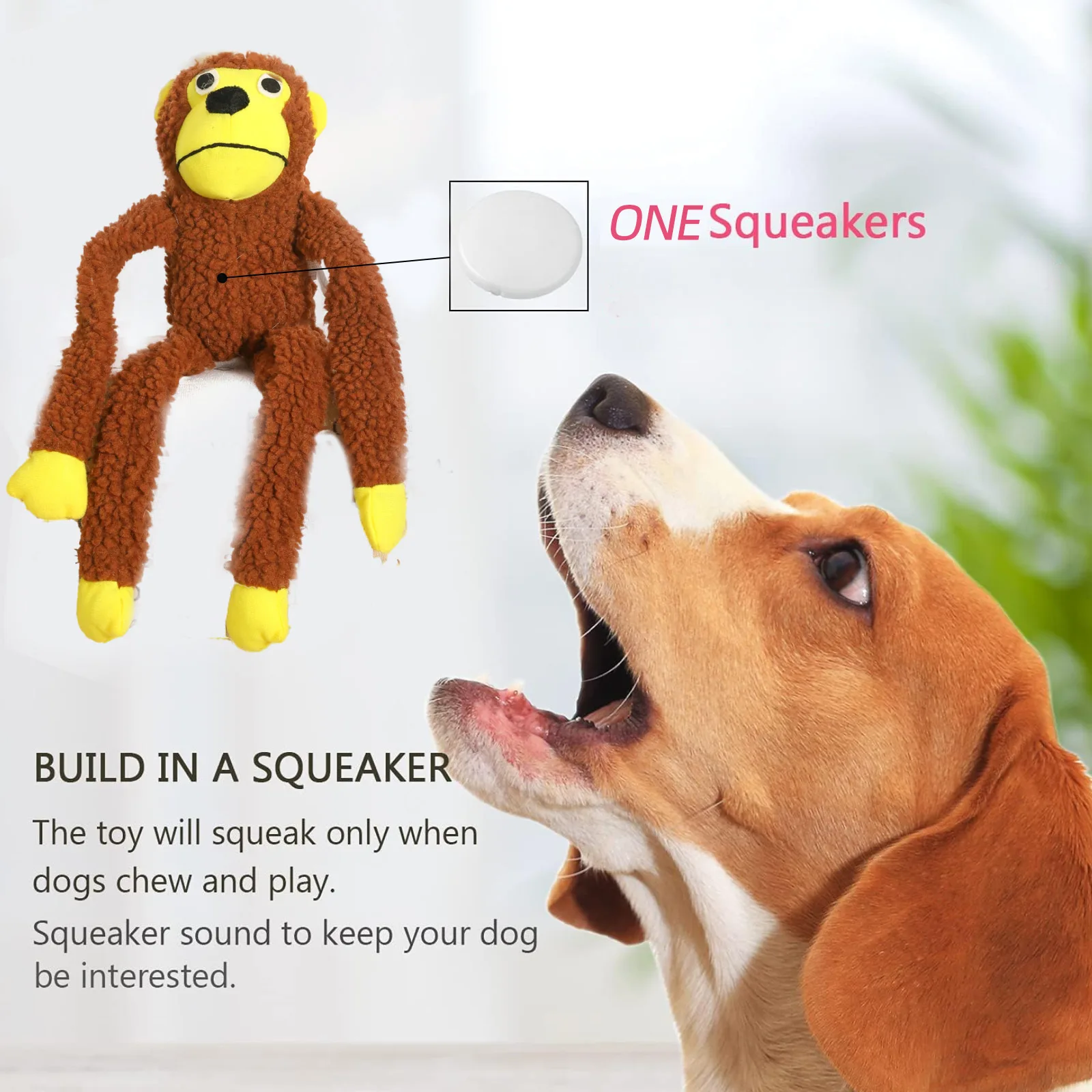 Monkey Squeaky Dog Toy