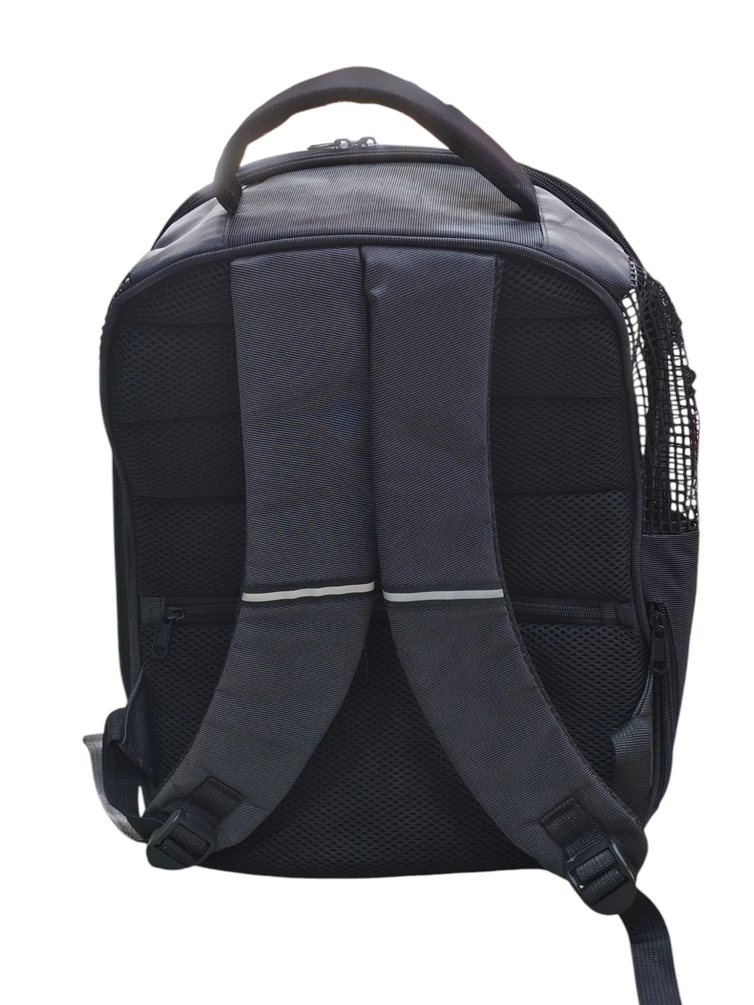 Lunar Lookout Pet Carrier