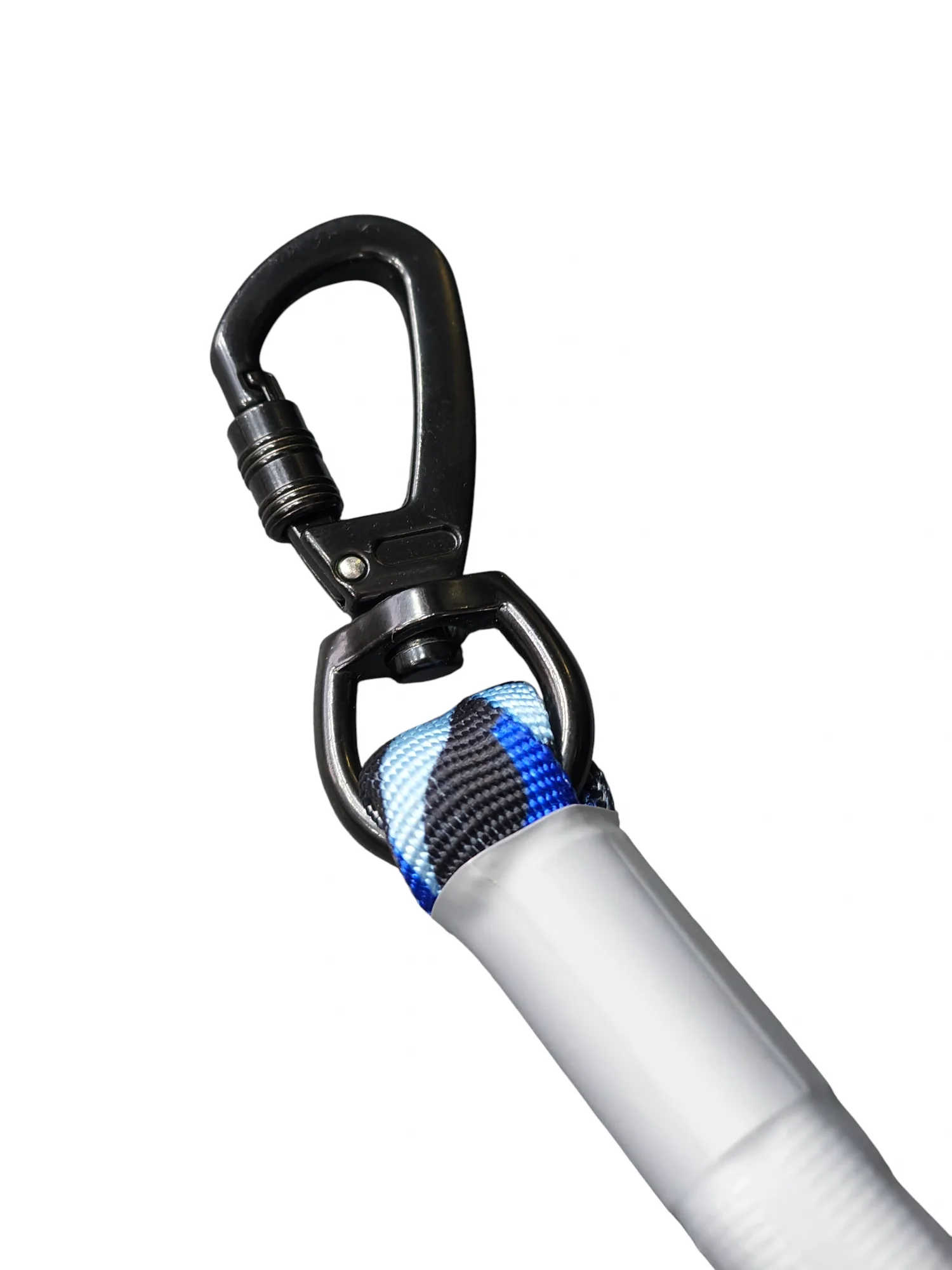 Bungee Leash