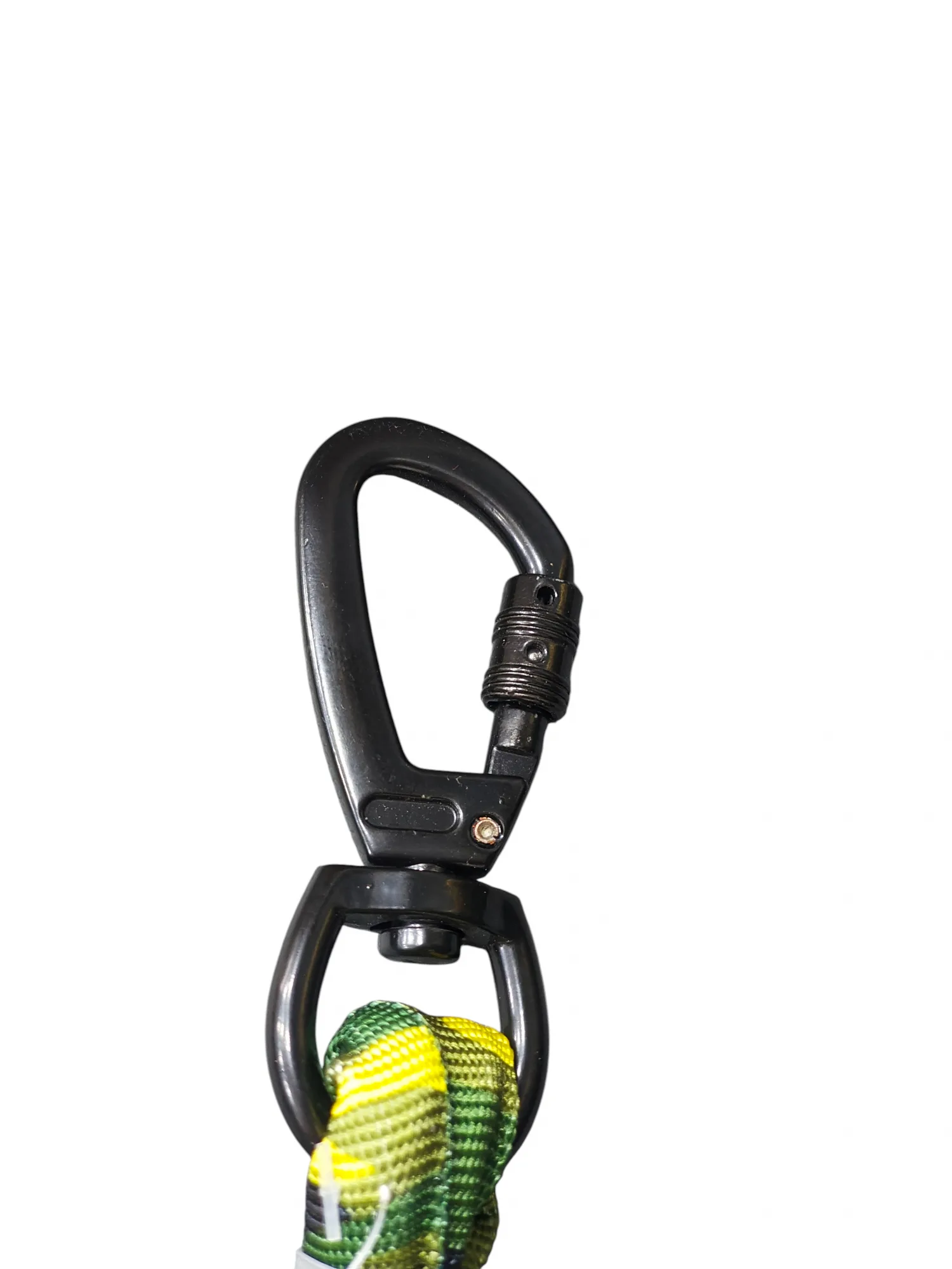 Bungee Leash
