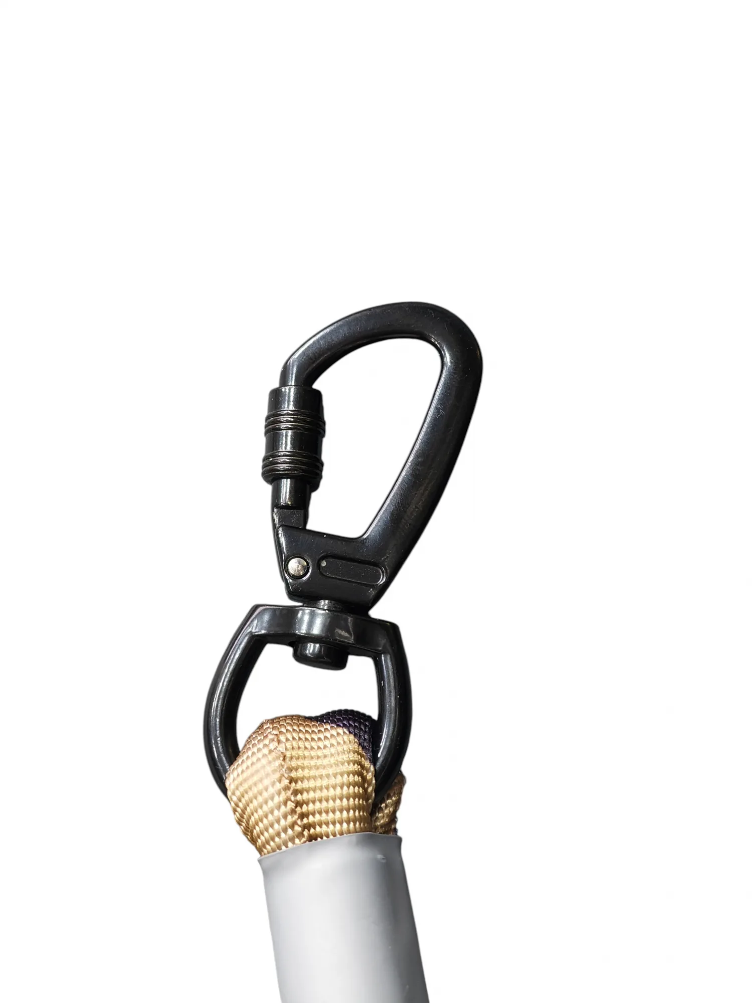 Bungee Leash