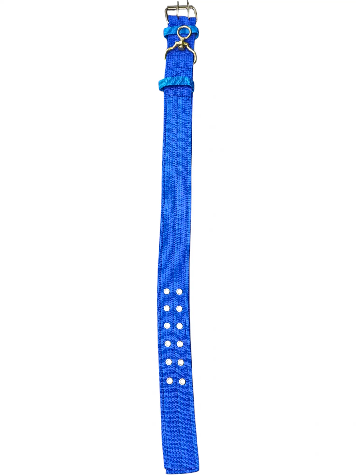 Wide profile webbing collar - blue