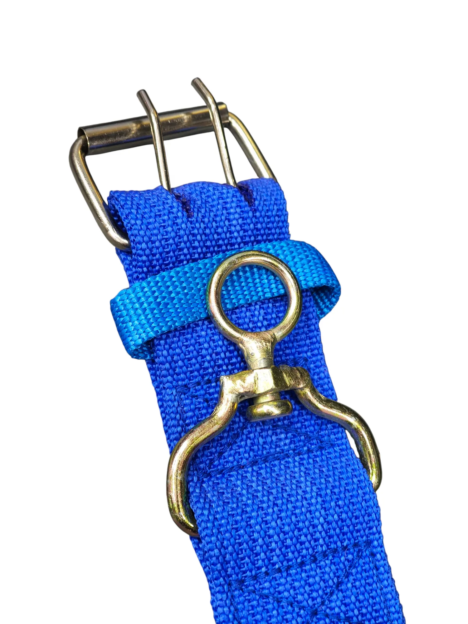 Wide profile webbing collar - blue