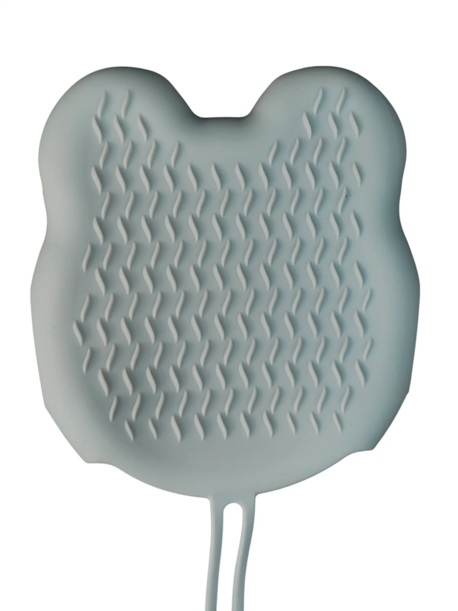 Grooming Brush