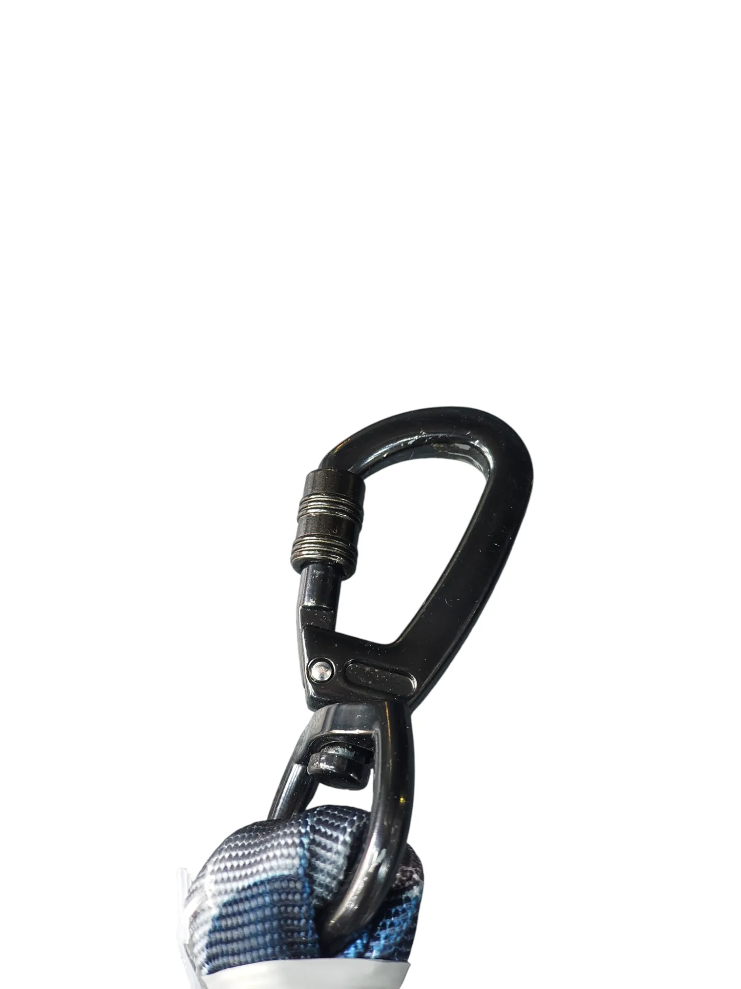 Bungee Leash