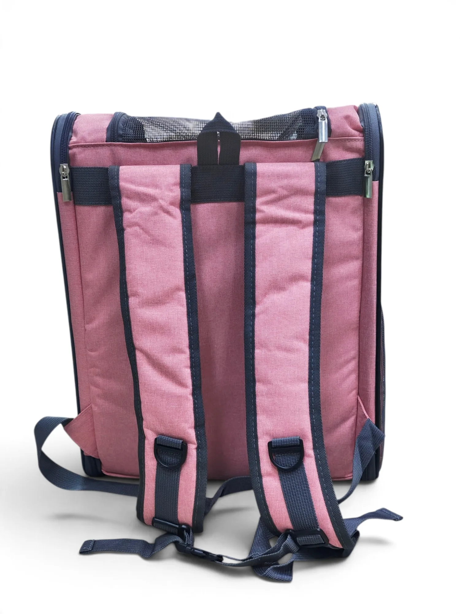 Mesh Pet Carrier Backpack