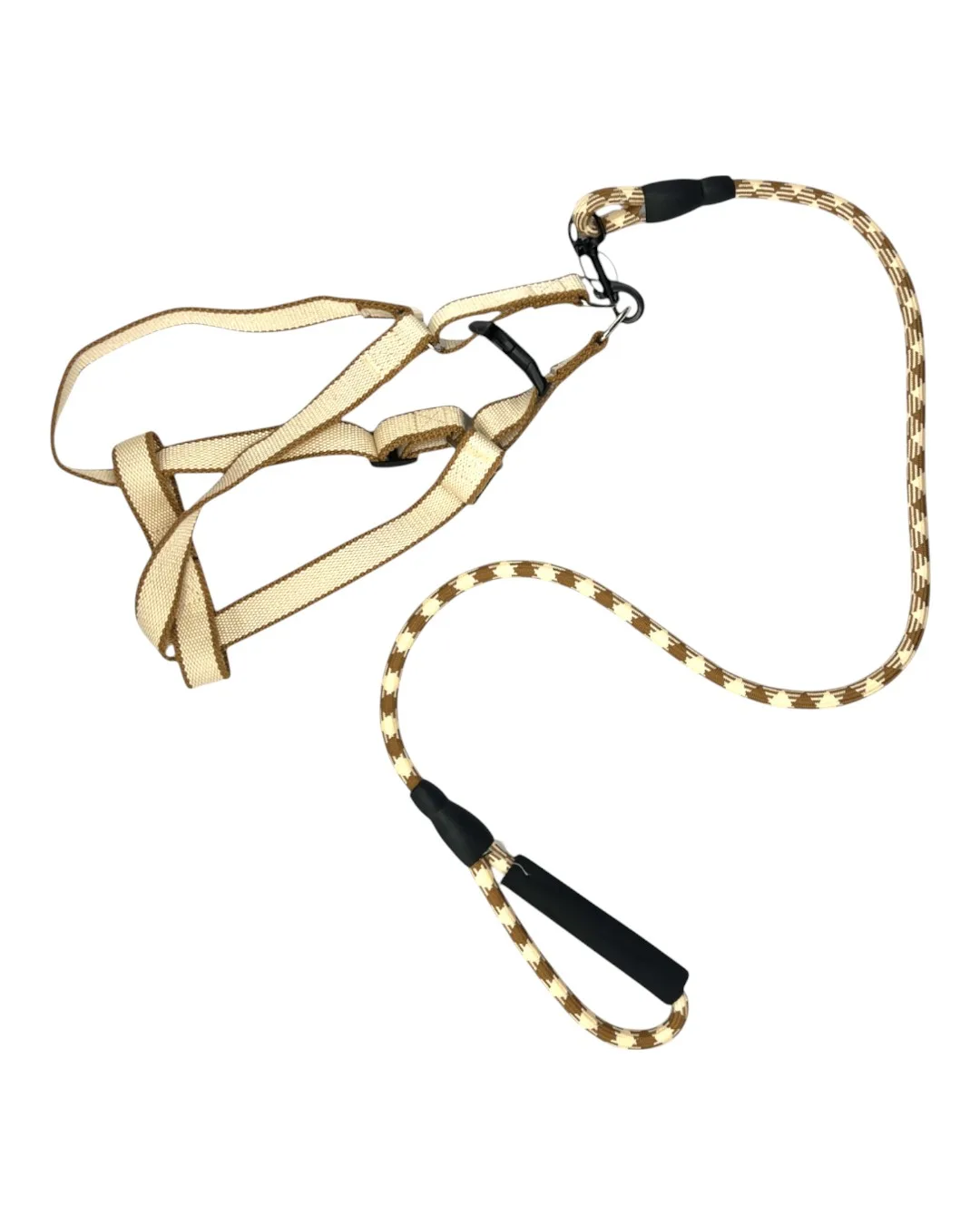 harness and leash set