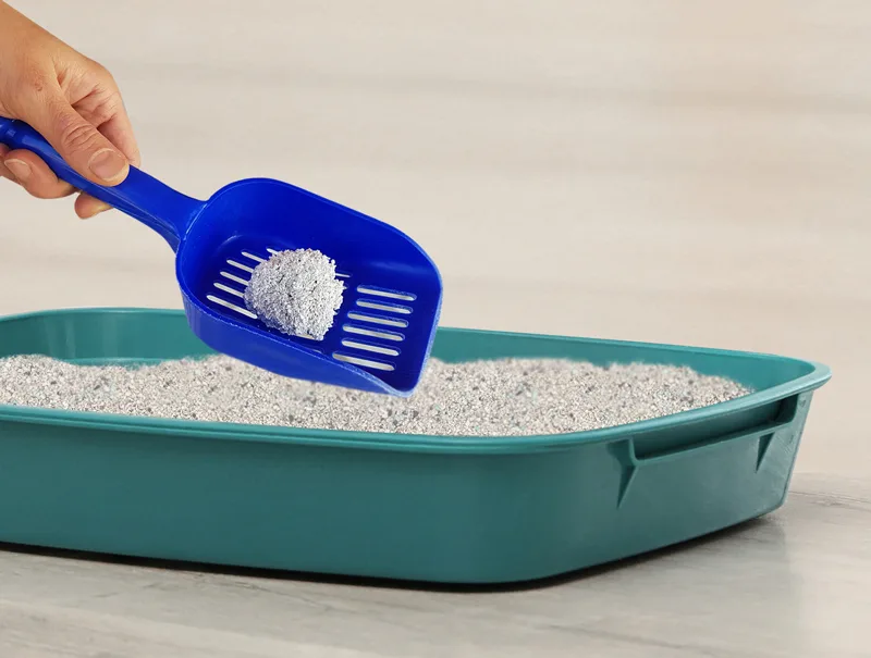 Kiki Kat Cat Litter  Baby Powder - 5 LT