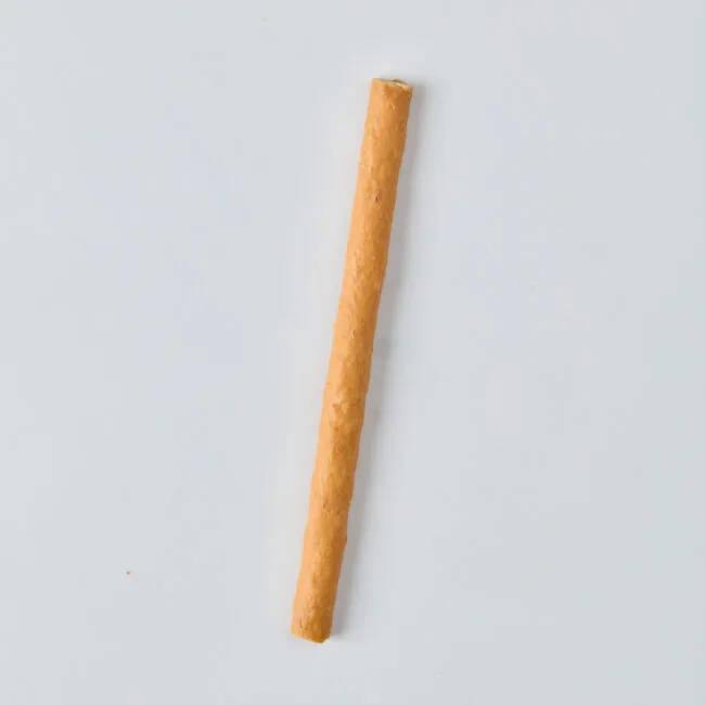 Prama dog treat - Pumpkin