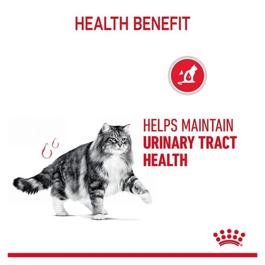 Royal canin - cat URINARY CARE wet food 85G