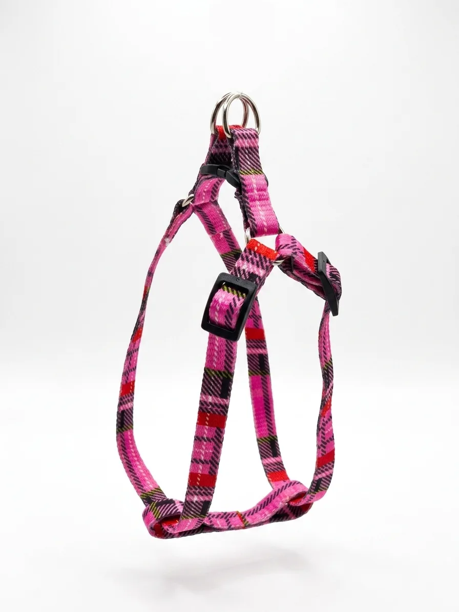 Strapping Harness - Small