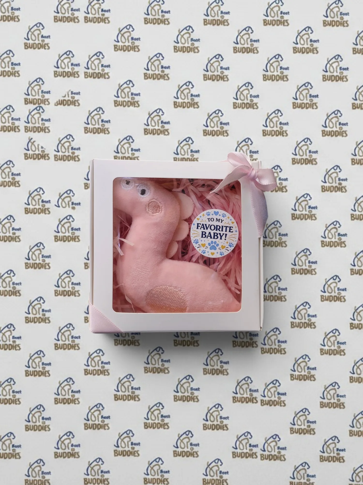 "To my favorite baby" Gift