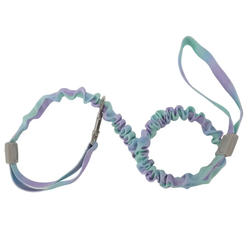 Bungee Leash