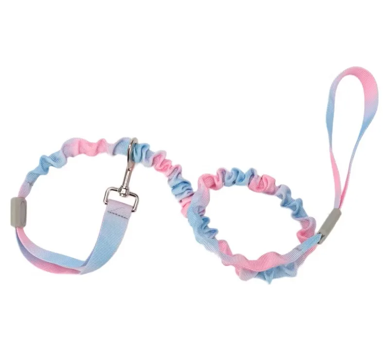 Bungee Leash