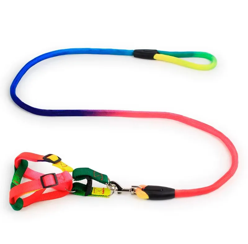 Rainbow leash