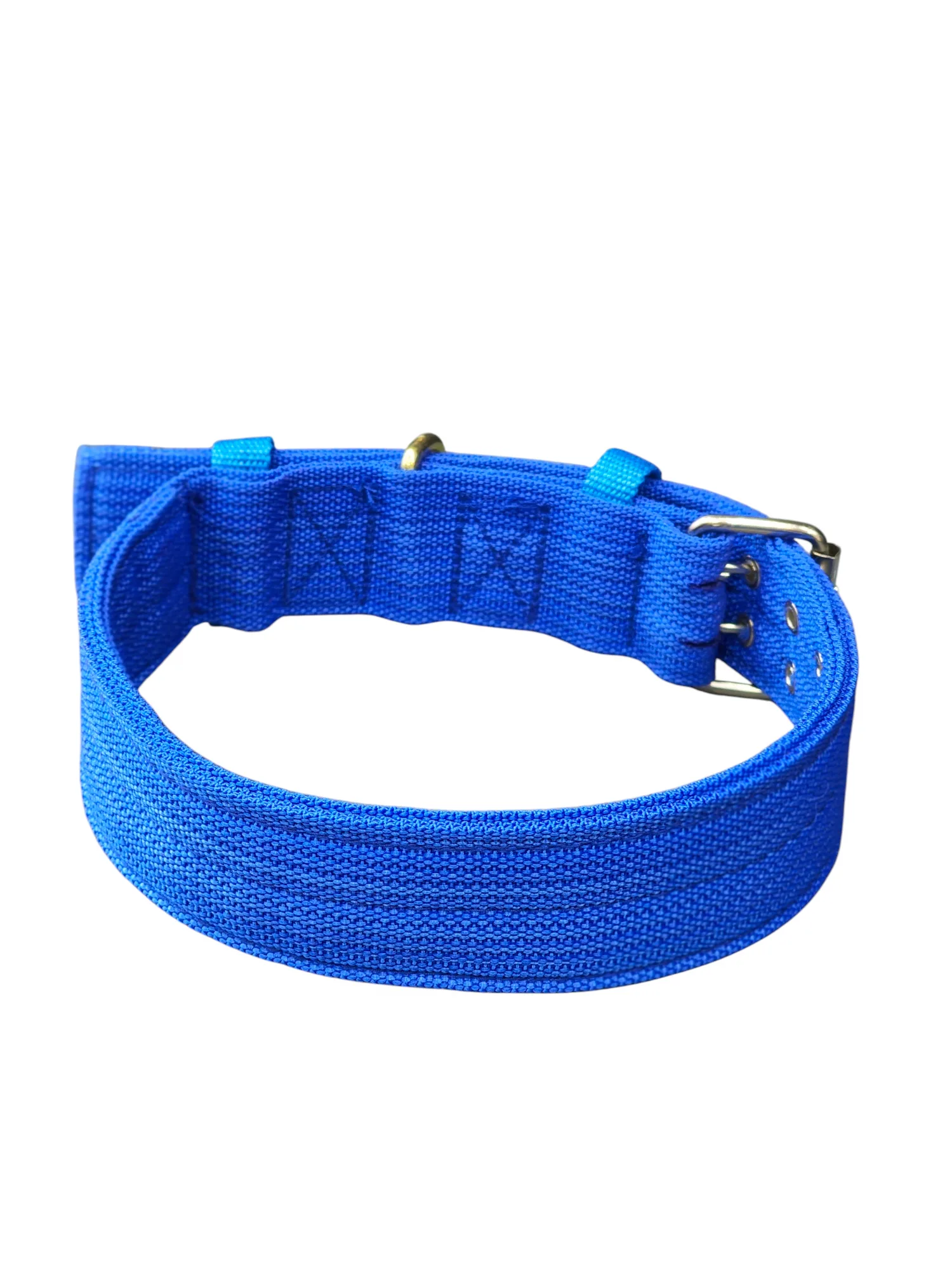 Wide profile webbing collar - blue