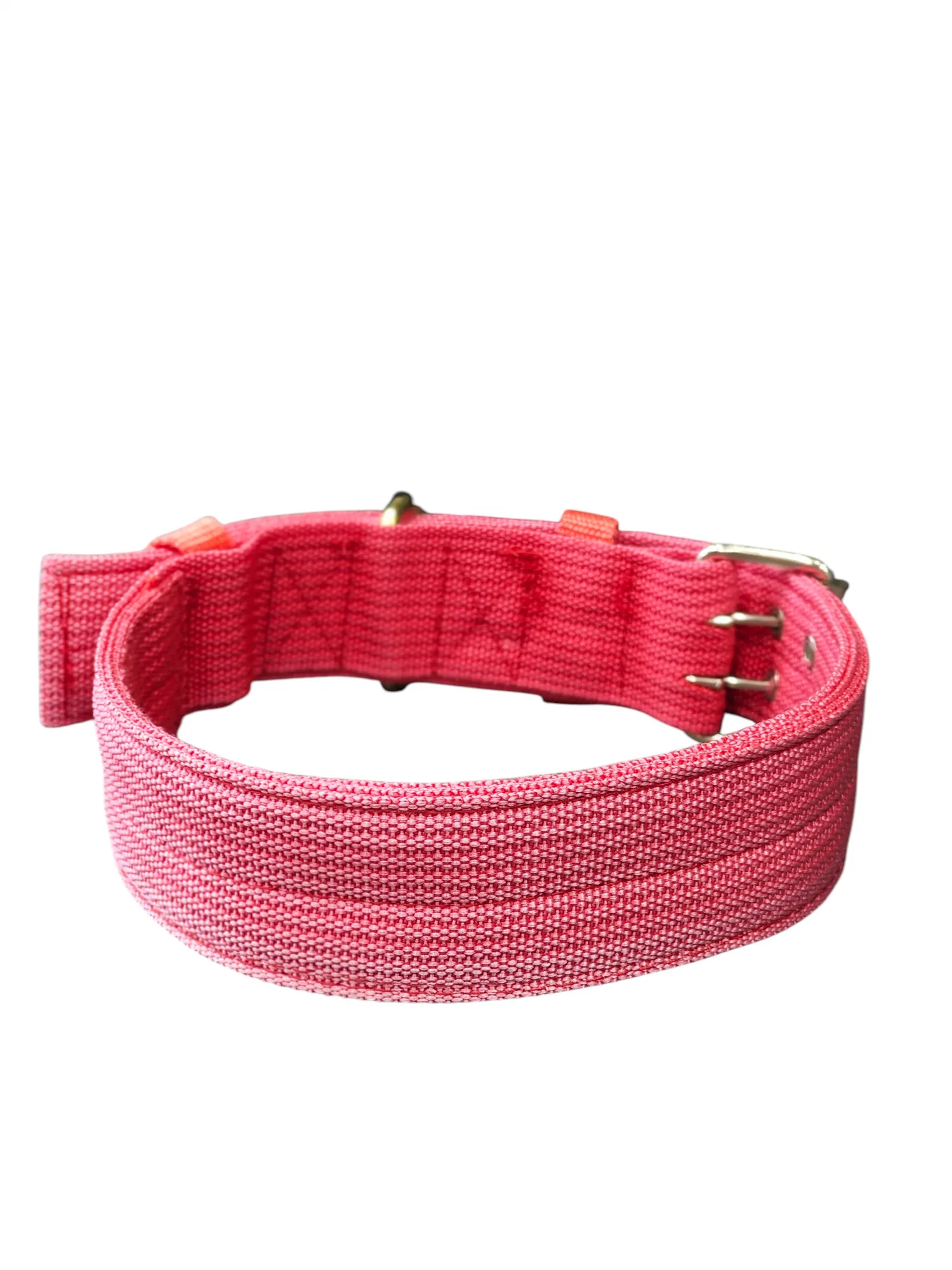 Wide profile webbing collar - red