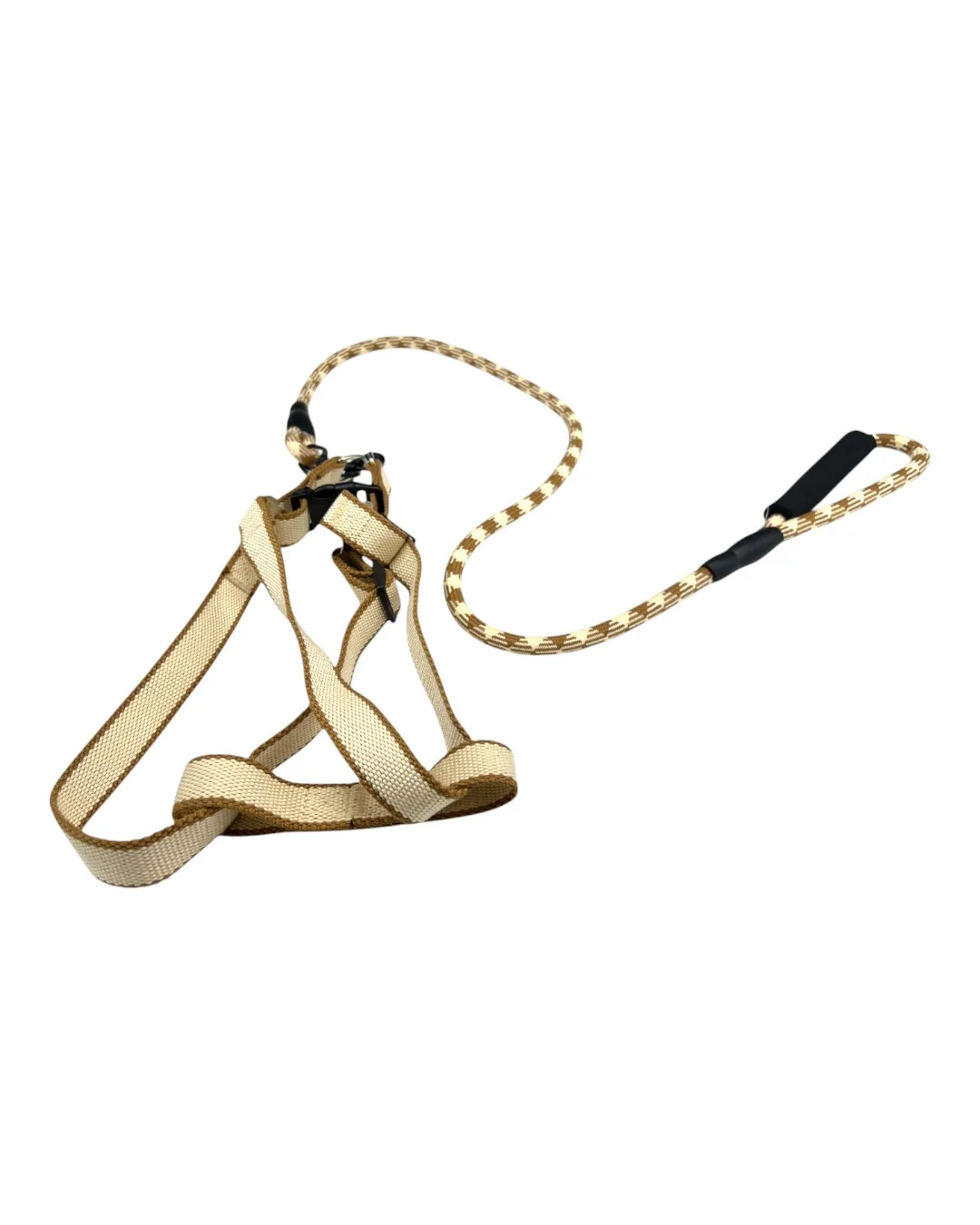 harness and leash set