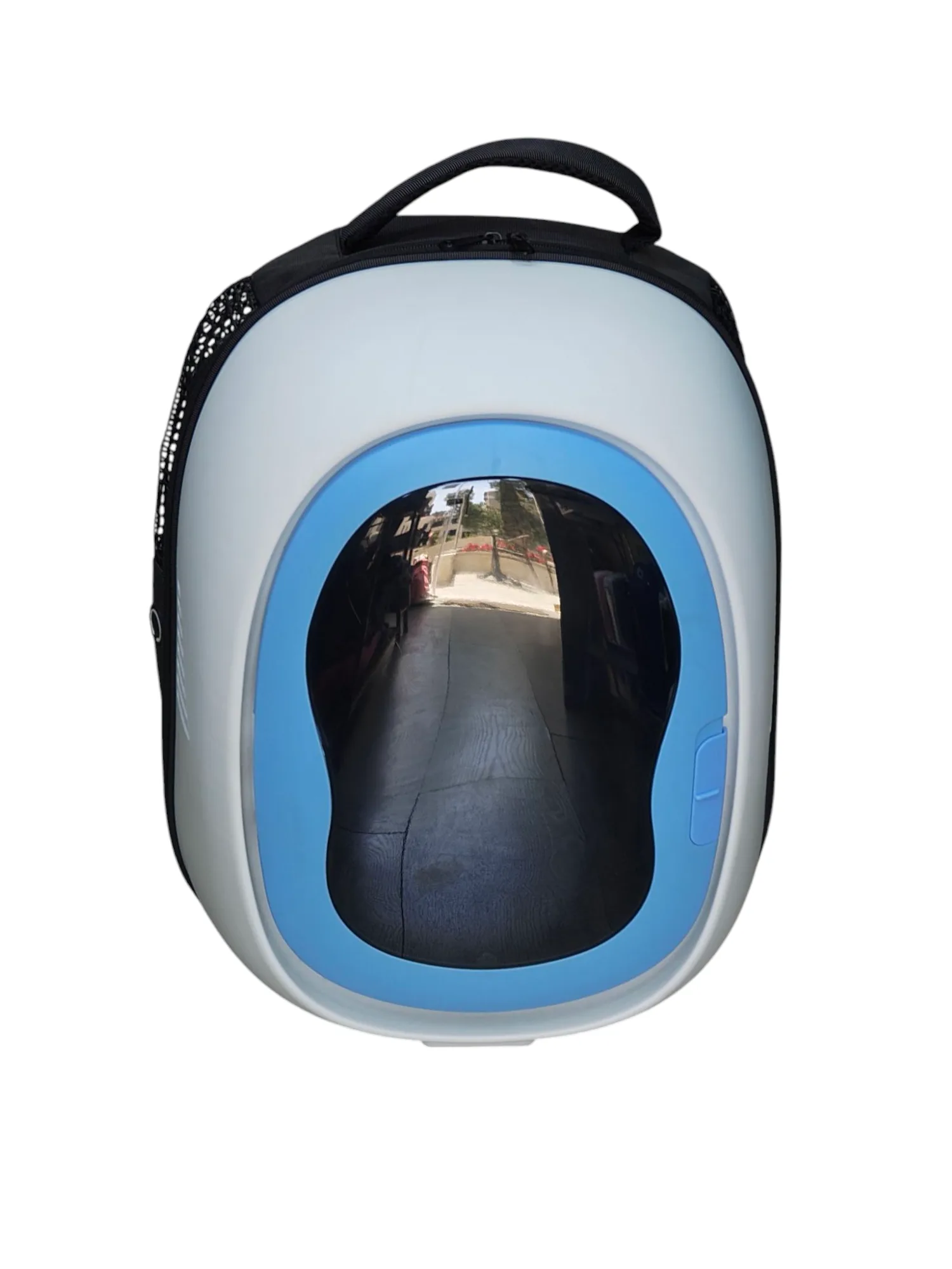 Lunar Lookout Pet Carrier